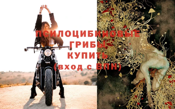 прущие крисы Арсеньев